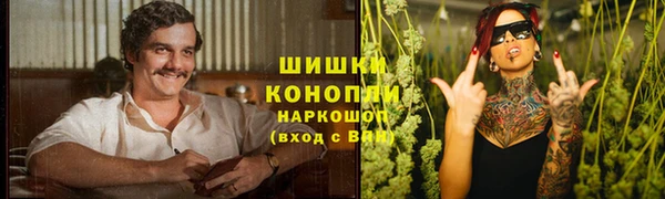 крисы Богородск