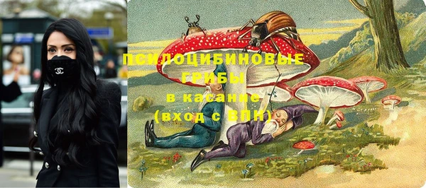 PSILOCYBIN Богородицк