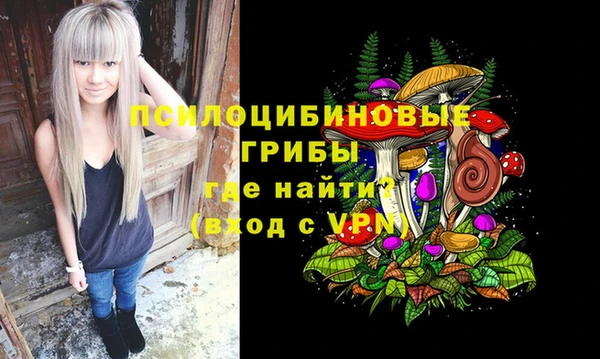 крисы Богородск