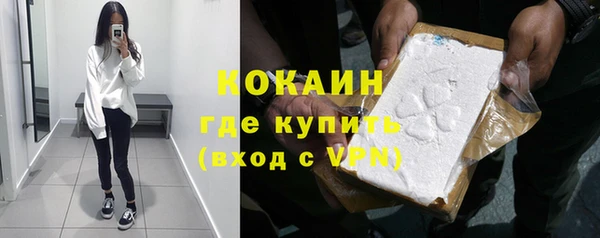 PSILOCYBIN Богородицк