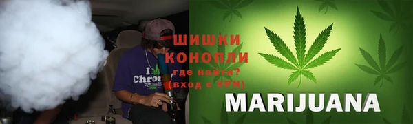 крисы Богородск