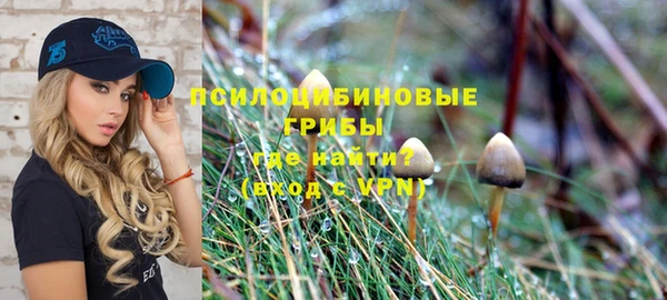 PSILOCYBIN Богородицк
