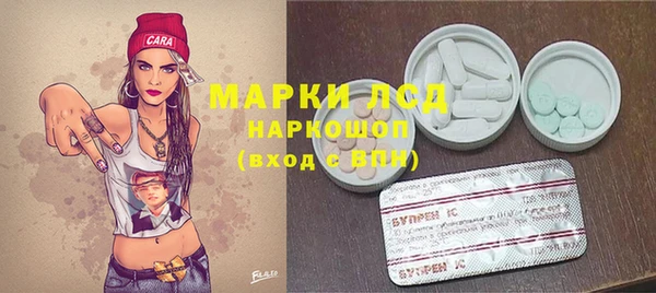 PSILOCYBIN Богородицк